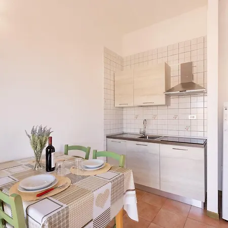 公寓 Casa Pavoncelle In Gallura 圣特雷莎加卢拉